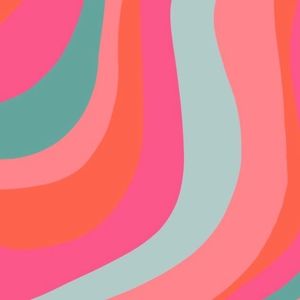 Meet your Posher, Camille